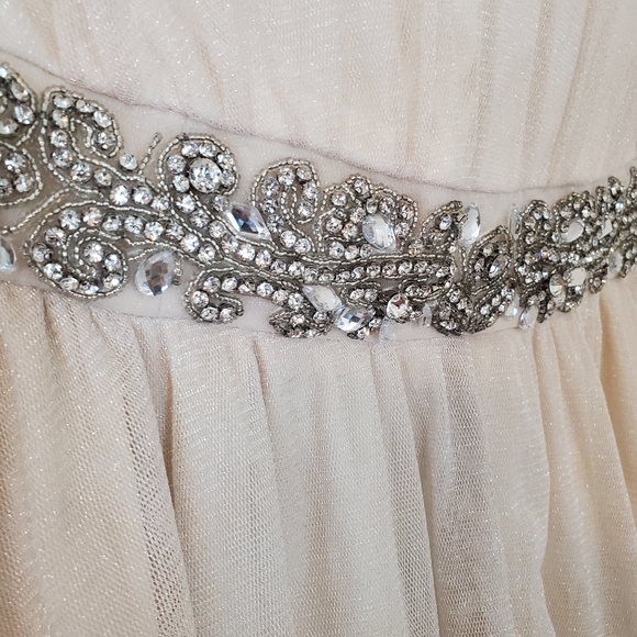 NWOT! Torrid Special Event Bejeweled Mesh Strapless Dress! Size 16. - Picture 4 of 11